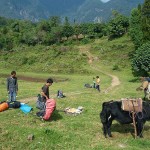 Yuksom - załadunek bagaży