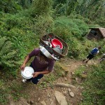 Nasza chatka w lesie