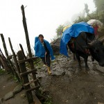 Bakhim, już nie pada, ale jest mgła