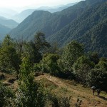 Tshoka - nadchodzą kolejni