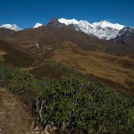 Widoczek po drodze do Lamuni