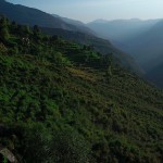 W drodze do Munsyari