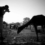 334591_313222692037948_100000506590892_1341757_196241940_o