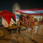 Pushkar Camel Fair