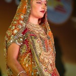 Pushkar Camel Fair, Indian Bride Competition