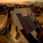 Pushkar Camel Fair 2011