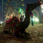 Pushkar Camel Fair, wesołe miasteczko