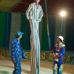 Pushkar Camel Fair, cyrk