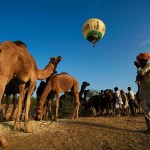 Pushkar Camel Fair 2011