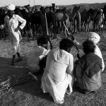 Pushkar Camel Fair