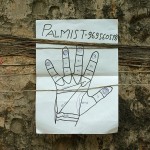Palmist