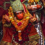 Haridwar, małpa w czerwonym