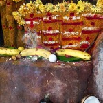 Martwa natura z rumem (Subramanya Swami Temple)