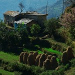 Domek we wsi Girigaon