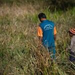 Piłka wpadła w trawę (6 punktów dla drużyny odbijającego)