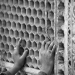 Ręce pani, która się modli