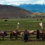 Shangri La, okolice Napa Hai