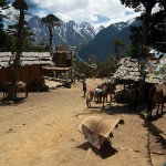 Trasa Xidang - Yubeng - Na Zong La, trzecia budka z piwem na szczycie Trasa Xidang - Yubeng - Na Zong La, trzecia budka z piwem na szczycie