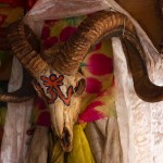 Poroże guźca w moim hotelu Eden Inn Poroże guźca w moim hotelu Eden Inn