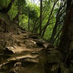 W drodze do Ice Lake W drodze do Ice Lake