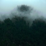 Rano pogoda trochę słaba... Rano pogoda trochę słaba...