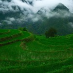 Tarasy ryżowe w Bingzhongluo