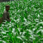 Okolice Bingzhongluo