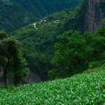 Okolice Bingzhongluo