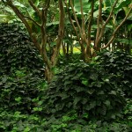 Kunming, Green Lake Park