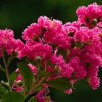 Kunming, Green Lake Park