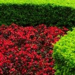 Kunming, Green Lake Park