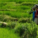 Czy na pewno dobrze idziemy?