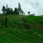 W drodze do Laohuzui