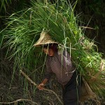 Gdzieś za Panzhihua