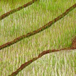 Na trasie Jiangcheng-Jinghong