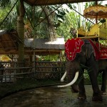 Menghan, Dai Theme Park